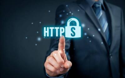 Why Serious Business Owners Need an SSL Certificate on Their Website